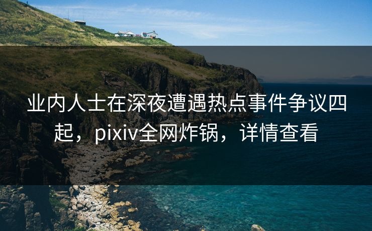 业内人士在深夜遭遇热点事件争议四起，pixiv全网炸锅，详情查看