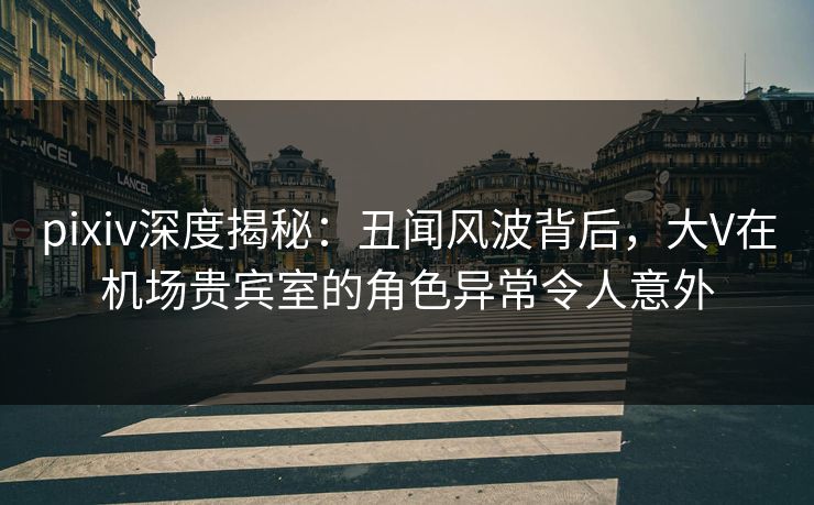 pixiv深度揭秘:丑闻风波背后,大V在机场贵宾室的角色异常令人意外 pixiv深度揭秘:丑闻风波背后,大V在机场贵宾室的角色异常令人意外